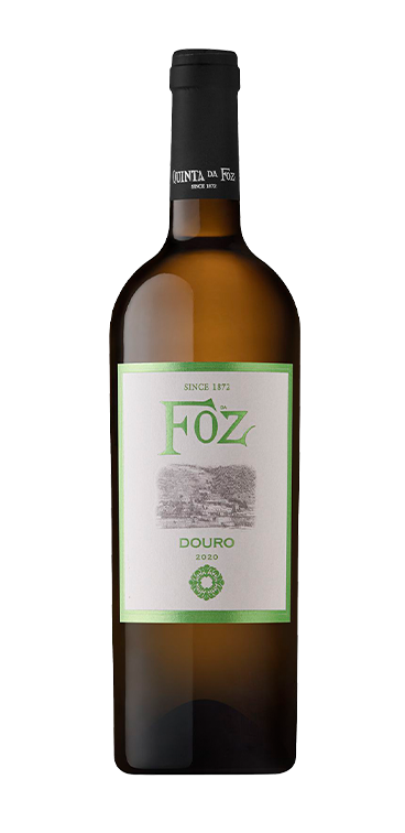 Da Foz Branco